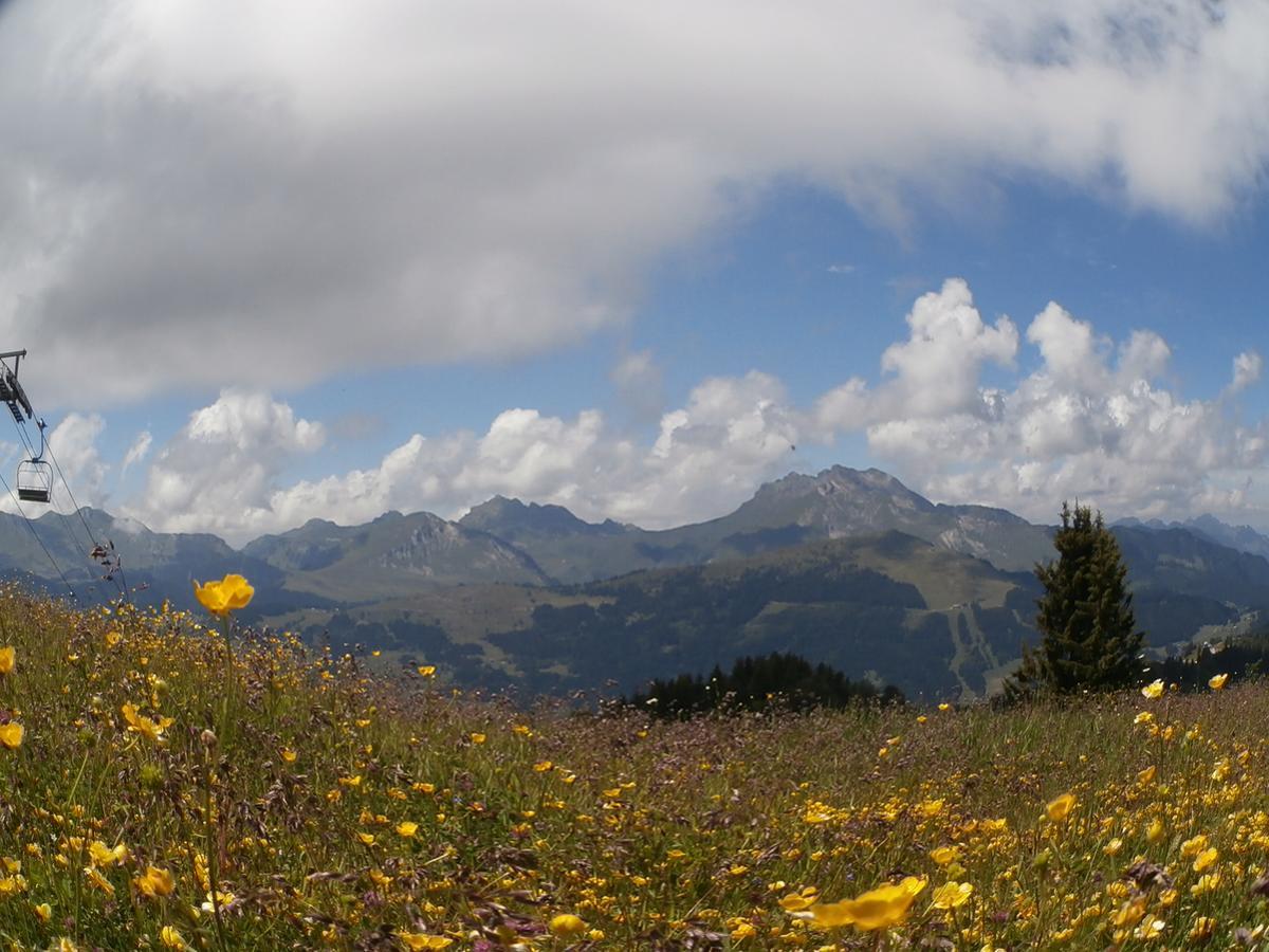Altitude Lodge Les Gets Buitenkant foto